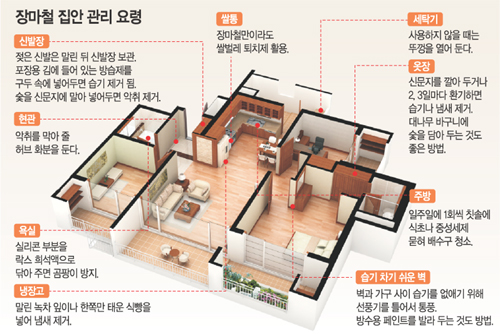 클릭하면 큰 이미지를 볼 수 있습니다.