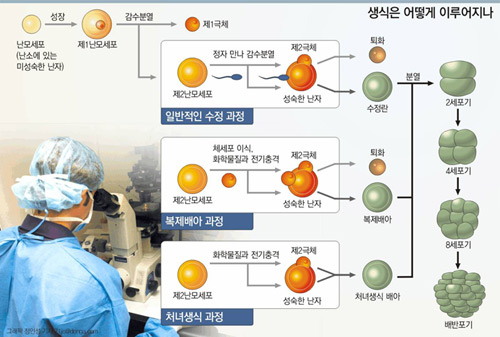 클릭하면 큰 이미지를 볼 수 있습니다.