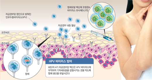 클릭하면 큰 이미지를 볼 수 있습니다.